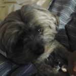 Gary Mitchell - @gary_mitchell_ - Instagram