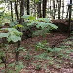 gary mitchem - @relic__hunter19 - Instagram
