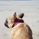 Gary - @gary.moffat2 - Instagram
