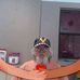 Gary Moffat - Facebook