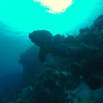 Gary Moline - @gary_moline1 - Instagram