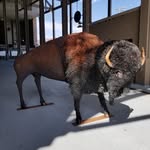 Gary Monaco - @roamthemetalbuffalo - Instagram