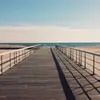 garymonaco0 - @garymonaco0 - TikTok