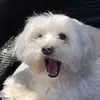 Gary Monday - @garymonday_2974 - TikTok