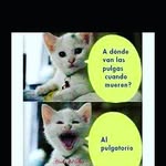 Gary Montiel - @montiel_gary - Instagram