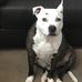 Gary Mendrys - Facebook