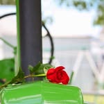 Gary Morefield - @gtm25282528 - Instagram