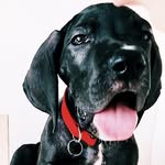 MOOSE + GARY - @mooseandgary - Instagram