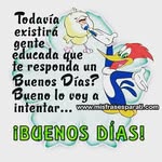 Gary_ Moreira - @moreira_gary - Instagram