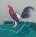Gary Enrique Moreira Solorzano - Facebook