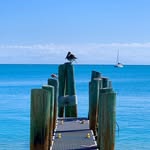 Gary Moreira - @nkeywest - Instagram