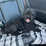 Gary Morey - @moreygary - Instagram