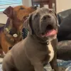 Gary Morton - @gary.morton5 - TikTok