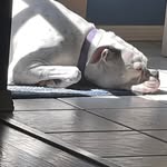 Gary W. Mosier - @garyw.mosier - Instagram