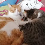 Gary_mostas - @gary_mostas - Instagram