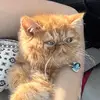 gary_and_moth - @garygary_dingleberry - TikTok