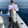 GARY MOSSNER - @baggerboss2200 - TikTok
