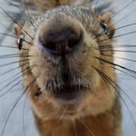 Gary Motzner - @motzner - Instagram