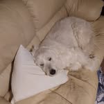 Gary Moulder - @gmoulder6537 - Instagram