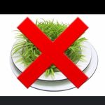 Gary “Mower” johnson - @grass_hater_lol - Instagram