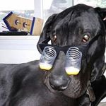 Gary Mowery - @garymowery - Instagram
