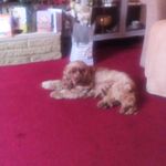 Gary Muddiman - @muddimangary - Instagram