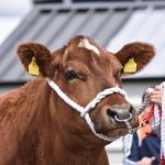 Gary Mulligan - @mulligan8130 - Instagram