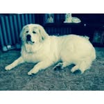 3173406313 - @gary_musselman - Instagram