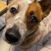 Gary A. Musselman - Facebook