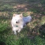 Gary Nabors - @gary.nabors.876 - Instagram