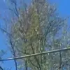 Garysnail - @garry7467 - TikTok