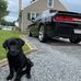 Gary Napoli - Facebook