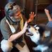 Gary Abelov's Dog Nation - Facebook
