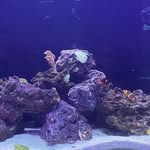 Gary Nations - @nations3170 - Instagram