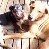 Gary Neale - @gary.neale - TikTok