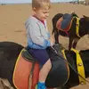 Gary Needham - @user636292657 - TikTok