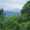 GARY NELSON - @gary.nelson49 - TikTok