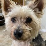 Gary Nesbitt - @1973gnes - Instagram