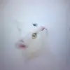 GaryNoe99 - @garynoe99 - TikTok