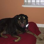 Gary Norcross - @gary.norcross.31 - Instagram