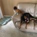Gary Norcross - Facebook