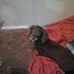 Gary Nowlin - Facebook