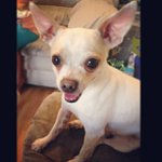 Gary Nyberg - @winsphedv - Instagram