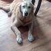 Gary O'Connor - Facebook
