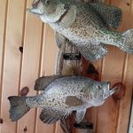 Gary Olinger - @gary.olinger.35 - Instagram