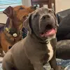 Gary Morton - @gary.morton5 - TikTok