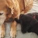 Gary Osterhout - Facebook
