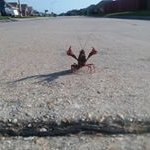 Gary Andrew Ostrowski - @garyandrewostrowski - Instagram
