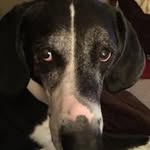 Gary Pack - @pack3410 - Instagram
