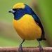 Gary Palmitier - Facebook